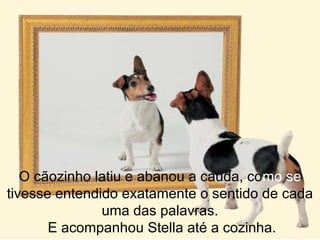O cãozinho latiu e abanou a cauda, como se
tivesse entendido exatamente o sentido de cada
               uma das palavras.
       E acompanhou Stella até a cozinha.
 