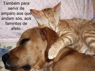 Também para
    servir de
amparo aos que
andam sós, aos
  famintos de
     afeto.
 