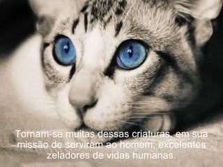 Tornam-se muitas dessas criaturas, em sua
missão de servirem ao homem, excelentes
      zeladores de vidas humanas.
 