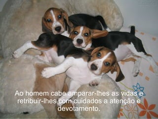 Ao homem cabe amparar-lhes as vidas e
 retribuir-lhes com cuidados a atenção e
                devotamento.
 