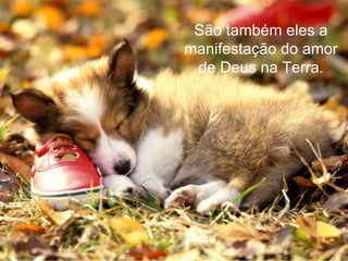 São também eles a
manifestação do amor
 de Deus na Terra.
 