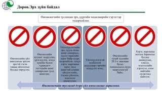 "ӨМГӨӨЛӨГЧИЙН ТУСЛАХЫН ҮЙЛ АЖИЛЛАГААНЫ ЖУРАМ"-ЫН ТАНИЛЦУУЛГА | PPT