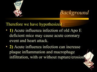 Background
Therefore we have hypothesized :
• 1) Acute influenza infection of old Apo E
deficient mice may cause acute coronary
event and heart attack.
• 2) Acute influenza infection can increase
plaque inflammation and macrophage
infiltration, with or without rupture/erosion.
 