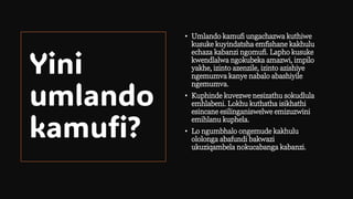 Umlando kaMufi. IsiZulu Ulimi Lwebele... | PDF
