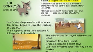 THE
DONKEY
(STORY OF UZAIR)
in Surat Al-Baqara and Surat At-Tawbah.
*Some scholars believe he was a Prophet of
allah(swt) who was sent to bani israeel after p.
Musa (AS).
*He was blessed with memorizing the Torah
and had good knowledge of aAllah’s
teachings.
.
The Babylonians destroyed Palestine and
killed
thousands from Bani Israeel.
Jerusalem became a ghost town.
Uzair was crossing across this city on his
donkey.
Uzair’s story happened at a time when
Bani Israeel began to leave the teachings
of Musa (AS).
This happened some time between P.
Suliman and P. Zakariyah
 