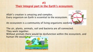#3
Their Integral part in the Earth’s ecosystem:
Allah’s creation is amazing and complex.
Every organism on Earth is essential to the ecosystem.
An ecosystem is a community of living organisms working together.
The air, plants, animals, soil and bacteria are all connected.
They work together.
Without animals there would be dysfunction within the ecosystem, and
human life would be disrupted.
 