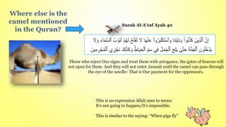 Where else is the
camel mentioned
in the Quran?
َ‫ون‬ُ‫ل‬ُ‫خ‬ ۡ‫د‬َ‫ي‬
َ‫ة‬ّ‫ن‬َ‫ج‬ۡ‫ٱل‬
‫ى‬ّ‫ت‬َ‫ح‬
َ‫ج‬ِ‫ل‬َ‫ي‬
ُ‫ل‬َ‫م‬َ‫ج‬ۡ‫ٱل‬
‫ي‬ِ‫ف‬
ِ‫م‬َ‫س‬
ِۚ‫اط‬َ‫ي‬ ِ‫خ‬ۡ‫ٱل‬
َ‫ك‬ِ‫ل‬َ‫ذ‬َ‫ك‬ َ‫و‬
‫ي‬ ِ
‫ز‬ ۡ
‫َج‬‫ن‬
ۡ
‫ج‬ُ‫م‬ۡ‫ٱل‬
َ‫ين‬ِ‫م‬ ِ
‫ر‬
ّ‫ن‬ِ‫إ‬
َ‫ِين‬‫ذ‬ّ‫ٱل‬
ْ‫ا‬‫و‬ُ‫ب‬ّ‫ذ‬َ‫ك‬
‫َا‬‫ن‬ِ‫ت‬َ‫ي‬‫ا‬َٔ‫ـ‬ِ‫ب‬
ُ‫ر‬َ‫ب‬ۡ‫ك‬َ‫ت‬ۡ‫ٱس‬ َ‫و‬
ْ‫ا‬‫و‬
‫ا‬َ‫ه‬ۡ‫ن‬َ‫ع‬
َ
‫َل‬
ُ‫ح‬ّ‫ت‬ََُ‫ت‬
ۡ‫م‬ُ‫ه‬َ‫ل‬
ُ‫ب‬ َ‫و‬ۡ‫ب‬َ‫أ‬
ٍِٓ‫ا‬َ‫م‬ّ‫س‬‫ٱل‬
َ
‫َل‬ َ‫و‬
Surah Al-A’raf Ayah 40
Those who reject Our signs and treat them with arrogance, the gates of heaven will
not open for them. And they will not enter Jannah until the camel can pass through
the eye of the needle: That is Our payment for the oppressors.
This is an expression Allah uses to mean:
It’s not going to happen/It’s impossible.
This is similar to the saying: “When pigs fly”
 