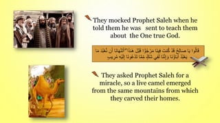 They mocked Prophet Saleh when he
told them he was sent to teach them
about the One true God.
They asked Prophet Saleh for a
miracle, so a live camel emerged
from the same mountains from which
they carved their homes.
َ‫ق‬ ‫ا‬ ًّ‫و‬ُ‫ج‬ ْ‫ر‬َ‫م‬ ‫َا‬‫ن‬‫ي‬ِ‫ف‬ َ‫نت‬ُ‫ك‬ ْ‫د‬َ‫ق‬ ُ‫ح‬ِ‫ل‬‫ا‬َ‫ص‬ ‫ا‬َ‫ي‬ ‫وا‬ُ‫ل‬‫ا‬َ‫ق‬
ّ‫ن‬ ‫ن‬َ‫أ‬ ‫َا‬‫ن‬‫ا‬َ‫ه‬ْ‫ن‬َ‫ت‬َ‫أ‬ ۖ ‫ا‬َ‫ذ‬‫ـ‬َ‫ه‬ َ‫ل‬ْ‫ب‬
‫ا‬َ‫م‬ َ‫د‬ُ‫ب‬ْ‫ع‬
َ‫ت‬ ‫ا‬ّ‫م‬ِ‫م‬ ٍ‫َك‬‫ش‬ ‫ي‬ََِ‫ل‬ ‫َا‬‫ن‬ّ‫ن‬ِ‫إ‬ َ‫و‬ ‫َا‬‫ن‬ُ‫اؤ‬َ‫ب‬‫آ‬ ُ‫د‬ُ‫ب‬ْ‫ع‬َ‫ي‬
ٍ‫ب‬‫ي‬ ِ
‫ر‬ُ‫م‬ ِ‫ه‬ْ‫ي‬َ‫ل‬ِ‫إ‬ ‫َا‬‫ن‬‫و‬ُ‫ع‬ْ‫د‬
 