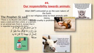 ُ‫س‬ ِ
‫ر‬ْ‫غ‬َ‫ي‬ ٍ‫م‬ِ‫ل‬ْ‫س‬ُ‫م‬ ْ‫ن‬ِ‫م‬ ‫ا‬َ‫م‬
ْ‫و‬َ‫أ‬ ‫ا‬ً‫س‬ ْ‫َر‬‫غ‬
ُ‫ك‬ْ‫أ‬َ‫ي‬َ‫ف‬ ‫ا‬ً‫ع‬ ْ‫ر‬ َ‫ز‬ ُ‫ع‬ َ‫ر‬ ْ‫ز‬َ‫ي‬
َ‫أ‬ ٌ‫ْر‬‫ي‬َ‫ط‬ ُ‫ه‬ْ‫ن‬ِ‫م‬ ُ‫ل‬
ْ‫و‬
ّ
‫َل‬ِ‫إ‬ ٌ‫ة‬َ‫م‬‫ي‬ِ‫ه‬َ‫ب‬ ْ‫و‬َ‫أ‬ ٌ‫ان‬َ‫س‬ْ‫ن‬ِ‫إ‬
ِ‫ه‬ِ‫ب‬ ُ‫ه‬َ‫ل‬ َ‫ان‬َ‫ك‬
ٌ‫ة‬َ‫ق‬َ‫د‬َ‫ص‬
#4.
Our responsibility towards animals:
Allah (SWT) entrusted us as the care-takers of
the Earth.
It is our religious duty to treat animals with
mercy.
Animal cruelty is prohibited in Islam.
The Prophet (S) said:
“There is no Muslim who plants a tree or
sows a seed and then a bird, or a person,
or an animal eats from it, except that it
is regarded as a charity for him.”
 