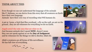 THINK ABOUT THIS:
Even though we can not understand the language of the animals
like P. Suliman, we can derive from this story that all creatures on Earth
have their own language.
Animals have their own way of recording what WE humans do.
A pet at home, a bird that flies overhead, a fly on the wall, an ant on the
ground...they are all witnesses for everything we do on Earth.
Angels aren’t the only ones that see what we do.
Just because animals don’t speak NOW, doesn’t mean
they can not speak against us on the Day of Judgment
and be witnesses for the things we did to disobey Allah (S).
Allah’s creatures are all forms of His surveillance.
He has full view of everything.
 