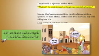They took this is a joke and mocked Allah:
“What is it? Go speak to your Lord to give us more info about this”
Imagine Musa’s embarrassment to go back to Allah and ask these
questions for them. He had just told them it was a cow and they were
asking what it is.
Musa came back with Allah’s words:
 