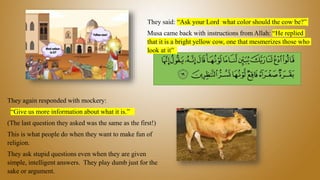 They said: “Ask your Lord what color should the cow be?”
Musa came back with instructions from Allah: “He replied
that it is a bright yellow cow, one that mesmerizes those who
look at it”
They again responded with mockery:
“Give us more information about what it is.”
(The last question they asked was the same as the first!)
This is what people do when they want to make fun of
religion.
They ask stupid questions even when they are given
simple, intelligent answers. They play dumb just for the
sake or argument.
 