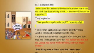P. Musa responded:
“It is a cow that has never been used for labor nor to till
the land, nor does it carry water. It has no deficiencies on
it (perfect)”
They responded:
“Now you have spoken the truth!” (sarcastically)
* These men kept asking questions until they made
Allah’s command extremely hard to obey.
* All they had to do was slaughter ANY cow, but now
they had to slaughter a cow that was neither too old, nor
too young, had never worked before, and was bright
yellow!!
How likely was it that a cow like that existed?
 