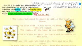 MIRACLE #2:
-The verse referred to above is all in the feminine
tense.
Today we know that in the world of bees, it is a
female’s world.
The leader of the bees is the QUEEN.
The females are the workers, builders and defenders of
the hive.
They are the ones who build the hive and make the
honey.
“Then, eat of all fruits, and follow the ways of
your Lord made easy (for you). There comes
forth from their bellies, a drink of varying color
which has healing for mankind. Verily, in this is
indeed a sign for people who think.”
 