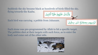 Suddenly the sky became black as hundreds of birds filled the sky,
flying towards the Kaaba.
Each bird was carrying a pebble from Jahanam.
Each stone was pre-programmed by Allah to hit a specific target.
The pebbles shot at their targets with such force, as to enter the
body and come out of the other side.
 