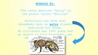MIRACLE #3:
-The verse mentions “belly” in
the plural tense: “bellies”
Scientists now know that
honeybees have an extra stomach
dedicated for honey.
An illiterate man 1400 years had
no access to this knowledge, yet
we find it in the Quran.
 