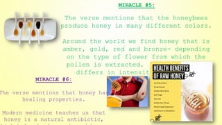 MIRACLE #6:
The verse mentions that honey has
healing properties.
Modern medicine teaches us that
honey is a natural antibiotic,
MIRACLE #5:
The verse mentions that the honeybees
produce honey in many different colors.
Around the world we find honey that is
amber, gold, red and bronze- depending
on the type of flower from which the
pollen is extracted. The honey also
differs in intensity and flavor
 