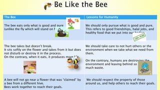 Be Like the Bee
The Bee Lessons for Humanity
The bee eats only what is good and pure
(unlike the fly which will stand on filth)
We should only pursue what is good and pure.
This refers to good friendships, halal jobs, and
healthy food that we put into our bodies.
The bee takes but doesn’t break.
It sits softly on the flower and takes from it but does
not disturb or destroy it in the process.
On the contrary, when it eats, it produces more life.
We should take care to not hurt others or the
environment when we take what we need from
them.
On the contrary, humans are destroying the
environment and leaving behind so
much waste.
A bee will not go near a flower that was “claimed” by
a bee from a different hive.
Bees work together to reach their goals.
We should respect the property of those
around us, and help others to reach their goals.
 