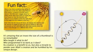 It’s amazing that an insect the size of a thumbnail is
so remarkable!
Who taught it what to do?
Who programmed it to work as it does?
Its creation is a benefit to us, but also a miracle to
ponder over Allah’s creation and be humbled by his
unique design.
 
