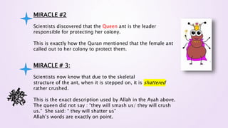MIRACLE #2
Scientists discovered that the Queen ant is the leader
responsible for protecting her colony.
This is exactly how the Quran mentioned that the female ant
called out to her colony to protect them.
MIRACLE # 3:
Scientists now know that due to the skeletal
structure of the ant, when it is stepped on, it is shattered
rather crushed.
This is the exact description used by Allah in the Ayah above.
The queen did not say : “they will smash us/ they will crush
us.” She said: “ they will shatter us”
Allah’s words are exactly on point.
 