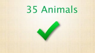 35 Animals
 