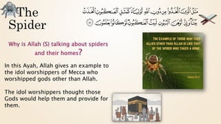 The
Spider
Why is Allah (S) talking about spiders
and their homes?
In this Ayah, Allah gives an example to
the idol worshippers of Mecca who
worshipped gods other than Allah.
The idol worshippers thought those
Gods would help them and provide for
them.
 
