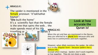 MIRACLE #1:
The spider is mentioned in the
female pronoun: ‘it’takhathat
baytan”:
“She built the home”
It’s a scientific fact that the female
is the one that spins the web… the
male spends most of his life
travelling and rarely ever builds a
home for himself.
MIRACLE #2:
When the ant and bee are mentioned in the Quran,
they are referred to in plural form because ants and
bees live in communities and work together.
However, when Allah mentions the spider, He refers
to it in the singular form – because spiders live a
solitary life,
(except when mating) . Spiders don’t work together,
or live together. They do not share a web.
Look at how
accurate the
Quran is!
 