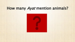 How many Ayat mention animals?
 