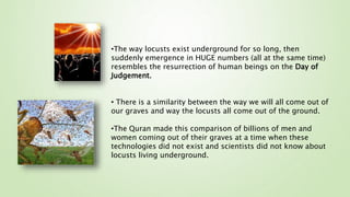 •The way locusts exist underground for so long, then
suddenly emergence in HUGE numbers (all at the same time)
resembles the resurrection of human beings on the Day of
Judgement.
• There is a similarity between the way we will all come out of
our graves and way the locusts all come out of the ground.
•The Quran made this comparison of billions of men and
women coming out of their graves at a time when these
technologies did not exist and scientists did not know about
locusts living underground.
 