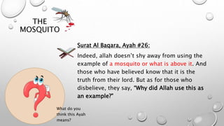 THE
MOSQUITO
Surat Al Baqara, Ayah #26:
Indeed, allah doesn’t shy away from using the
example of a mosquito or what is above it. And
those who have believed know that it is the
truth from their lord. But as for those who
disbelieve, they say, “Why did Allah use this as
an example?"
What do you
think this Ayah
means?
 
