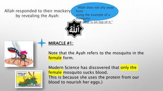 MIRACLE #1:
Note that the Ayah refers to the mosquito in the
female form.
Modern Science has discovered that only the
female mosquito sucks blood.
This is because she uses the protein from our
blood to nourish her eggs.)
Allah responded to their mockery
by revealing the Ayah:
“Allah does not shy away
from
using the example of a
mosquito
and what is on top of it.”
 