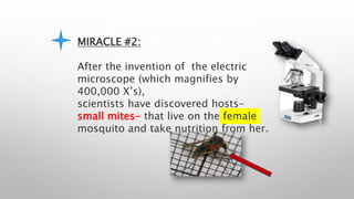 MIRACLE #2:
After the invention of the electric
microscope (which magnifies by
400,000 X’s),
scientists have discovered hosts-
small mites- that live on the female
mosquito and take nutrition from her.
 