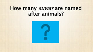 How many suwar are named
after animals?
 