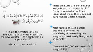 These creatures are anything but
insignificant. If the people of
Quraysh knew what we know
today about them, they would not
have mocked allah’s creation.
Allah speaks of such a small
creature to show us the
complexity of something that
weights approximately 5 mg but is
so complex.
(You need 200,000 mosquitos to
weight 1 lb!!)
“This is the creation of allah.
So show me what those other than
me have created. The disbelievers are
in great denial”
-Surat Luqman, Ayah 11
 