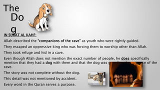 The
IN SURAT AL KAHF:
Allah described the “companions of the cave” as youth who were rightly guided.
They escaped an oppressive king who was forcing them to worship other than Allah.
They took refuge and hid in a cave.
Even though Allah does not mention the exact number of people, he does specifically
mention that they had a dog with them and that the dog was guarding the entrance of the
cave.
The story was not complete without the dog.
This detail was not mentioned by accident.
Every word in the Quran serves a purpose.
Do
g
 