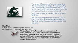 – There are differences of opinion regarding
the permissibility of dogs. However, if they
were completely prohibited in Islam, Allah
would have made that clear in any one of the
5 Ayat in which they were mentioned.
– Dogs are allowed to be used for all types of
benefits.
– We are encouraged to make use of Allah’s
creations, just as those righteous youth of
the cave had a dog as their companion and
guardian.
“They ask you, [O Muhammad], what has been made
lawful for them. Say, "Lawful for you are [all] good foods
and [game caught by] what you have trained of hunting
animals which you train as Allah has taught you. So eat of
what they catch for you, and mention the name of Allah
upon it, and fear Allah.”
EXAMPLE:
It is OK to use trained dogs for hunting, as
mentioned in Surat Al-Maidah, Ayah #4.
 
