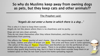 So why do Muslims keep away from owning dogs
as pets, but they keep cats and other animals??
The Prophet said:
“Angels do not enter a home in which there is a dog…”
This is why it is best to keep them outside.
Angels do not like places where there is no cleanliness and no purity.
Dogs are not very clean animals.
They do not clean themselves after they relieve themselves, and they can not stop
themselves from panting.
This affects the Tahara (purity) of one’s home. One of the requirements for prayer is that
our body, clothes and place of prayer are pure. The urine and feces (and in some opinions
-the saliva) of the dog are Najasa (impurities) and therefore we risk the perfection of our
prayer when dogs are present in our space. There is no problem keeping a dog as a
service dog/guard dog/hunting dog, but it is best to keep them outside/keep them in an
isolated space so they do not roam around the home spreading najasah.
 