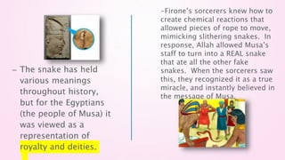– The snake has held
various meanings
throughout history,
but for the Egyptians
(the people of Musa) it
was viewed as a
representation of
royalty and deities.
-Firone’s sorcerers knew how to
create chemical reactions that
allowed pieces of rope to move,
mimicking slithering snakes. In
response, Allah allowed Musa’s
staff to turn into a REAL snake
that ate all the other fake
snakes. When the sorcerers saw
this, they recognized it as a true
miracle, and instantly believed in
the message of Musa.
 