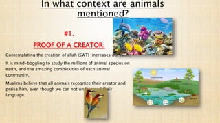 In what context are animals
mentioned?
#1.
PROOF OF A CREATOR:
Contemplating the creation of allah (SWT) increases our faith.
It is mind-boggling to study the millions of animal species on
earth, and the amazing complexities of each animal
community.
Muslims believe that all animals recognize their creator and
praise him, even though we can not understand their
language.
 