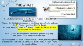 THE WHALE
The whale is mentioned in the Quran in relation to the story of
Prophet Yunus.
P.Yunus Ibn Matta is nicknamed in the Quran as ‫الحوت‬ ‫صاحب‬ and was
the 1st Prophet mentioned in the Quran.
His story was mentioned in 5 Suwar: Yunus, Al- Saffat, Al- Tur,
Al- Anbiyaa and Al-An3am.
Allah (S) sent this Prophet to Naynawah (present day Iraq).
The people there were worshiped idols.
He continued to call them to the worship of Allah, reminding them
of the terrible wrath of Allah that was directed at Ad, Thamud and
the people of Nuh.
 