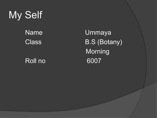 My Self
Name Ummaya
Class B.S (Botany)
Morning
Roll no 6007
 