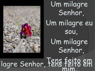 Um milagre Senhor,Um milagre eu sou,Um milagre Senhor,Tens feito em mim...Té  findar meu viver,Dar-te-ei meu louvor,Um milagre Senhor, tens feito em mim...