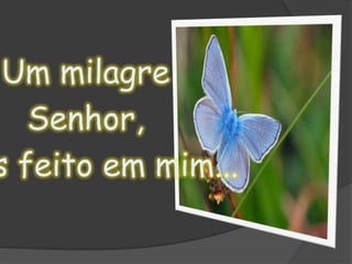 Um milagre Senhor, tens feito em mim...