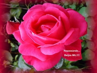 Repassando... Beijos MIL!!!! 