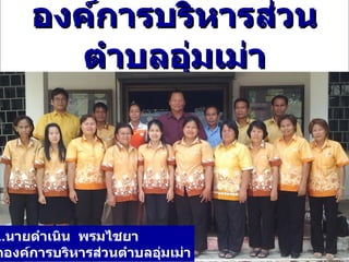 องค์การบริหารส่วน
       ตำาบลอุ่มเม่า




..นายดำาเนิน พรมไชยา
กองค์การบริหารส่วนตำาบลอุมเม่า
                         ่
 