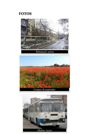 FOTOS
Tubulação aérea
Ônibus russo
Campo de papoulas
 