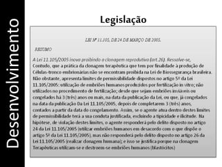 LegislaçãoDesenvolvimento
 