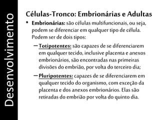 Células-Tronco: Embrionárias e Adultas
• Embrionárias:são células multifuncionais,ou seja,
podem se diferenciar em qualquer tipo de célula.
Podem ser de dois tipos:
–Totipotentes: são capazes de se diferenciarem
em qualquer tecido, inclusiveplacenta e anexos
embrionários, são encontradas nas primeiras
divisões do embrião, por volta do terceiro dia;
–Pluripotentes: capazes de se diferenciarem em
qualquer tecido do organismo, com exceção da
placenta e dos anexos embrionários. Elas são
retiradas do embrião por volta do quintodia.
Desenvolvimento
 