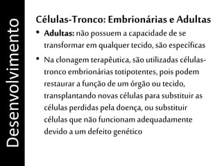 Células-Tronco: Embrionárias e Adultas
• Adultas: nãopossuem a capacidadede se
transformarem qualquertecido, são específicas
• Na clonagem terapêutica,sãoutilizadas células-
tronco embrionáriastotipotentes,poispodem
restaurar a funçãode um órgão ou tecido,
transplantandonovas célulasparasubstituiras
célulasperdidaspeladoença, ou substituir
célulasque não funcionamadequadamente
devido a um defeito genético
Desenvolvimento
 