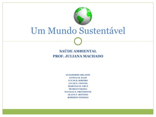 SAÚDE AMBIENTAL
PROF. JULIANA MACHADO
GUILHERME ORLANDI
LETICIA B. SAAD
LUCAS B. RIBEIRO
LUCAS F. CHAVES
MARCELO H. CRUZ
MURILO TAKEDA
NATALIA N. PREVIDENTE
OLAVO F. BOTTINO
ROBERTO TONIOLO
Um Mundo Sustentável
 